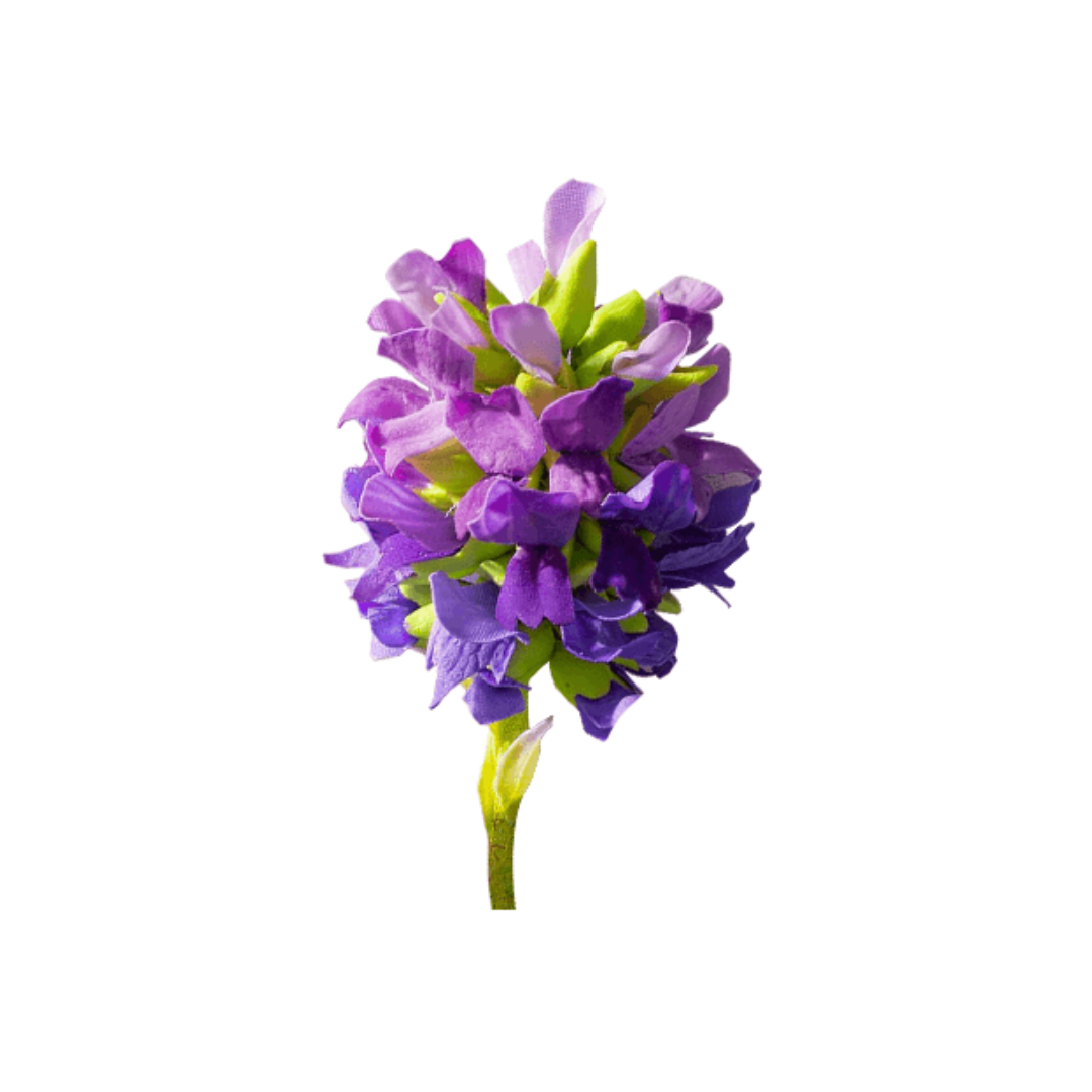 Bakuchiol