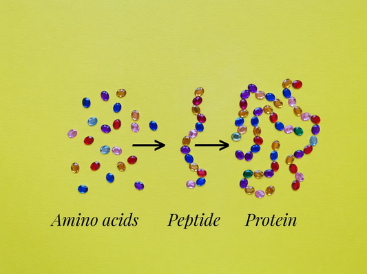 Peptides