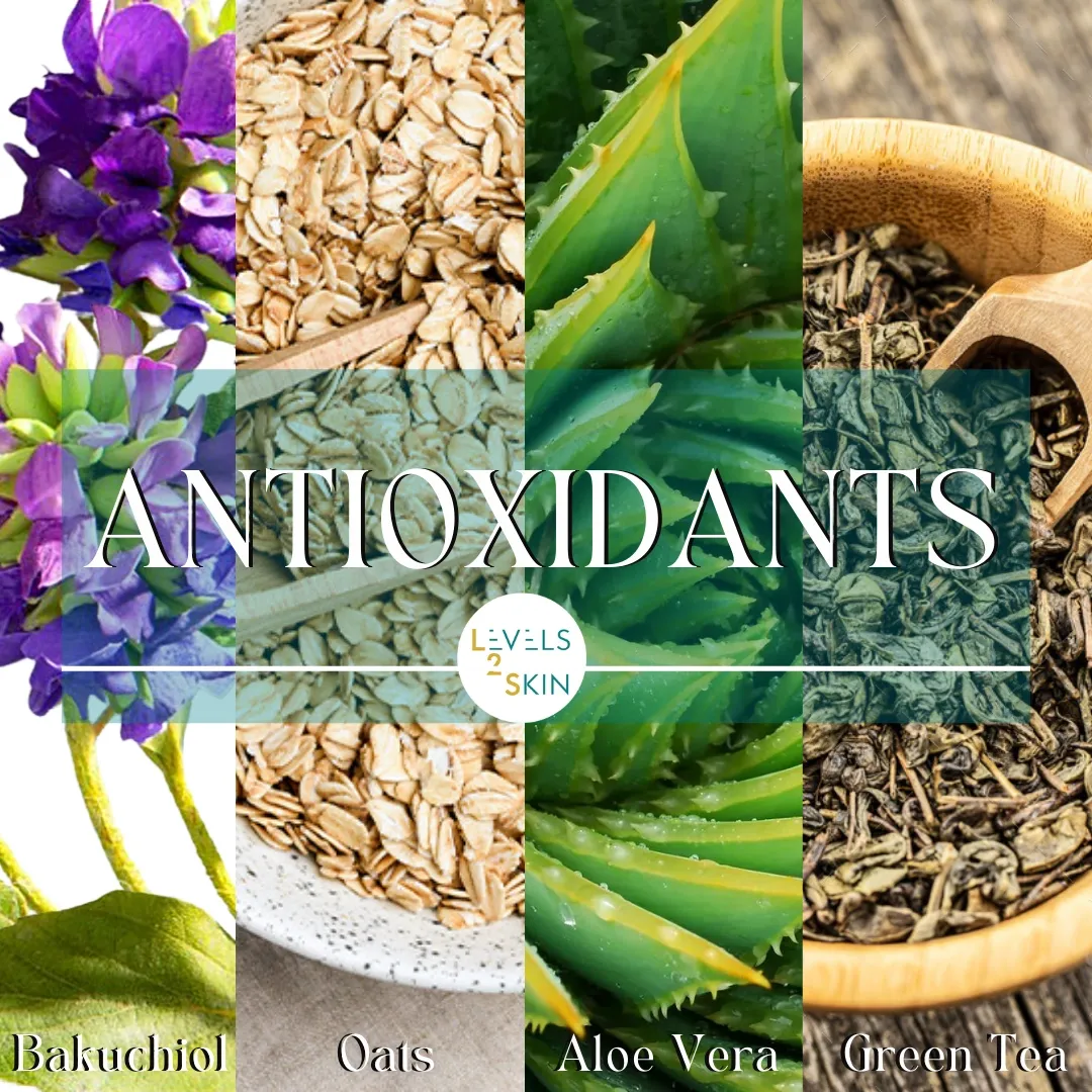 Plant-Derived Antioxidants & Skin Care