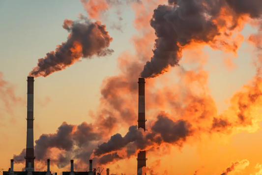 Pollution and the Skin